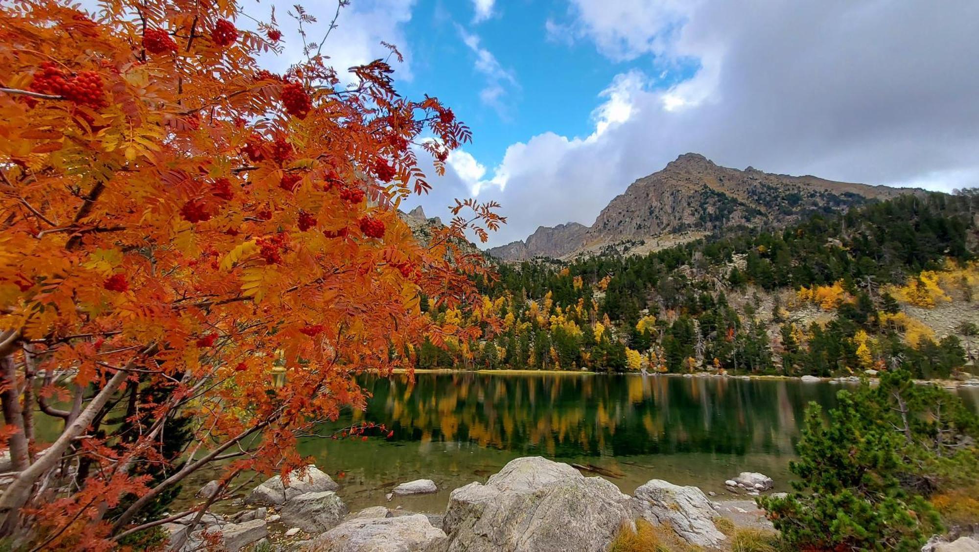 Camping Solau Эспот Экстерьер фото