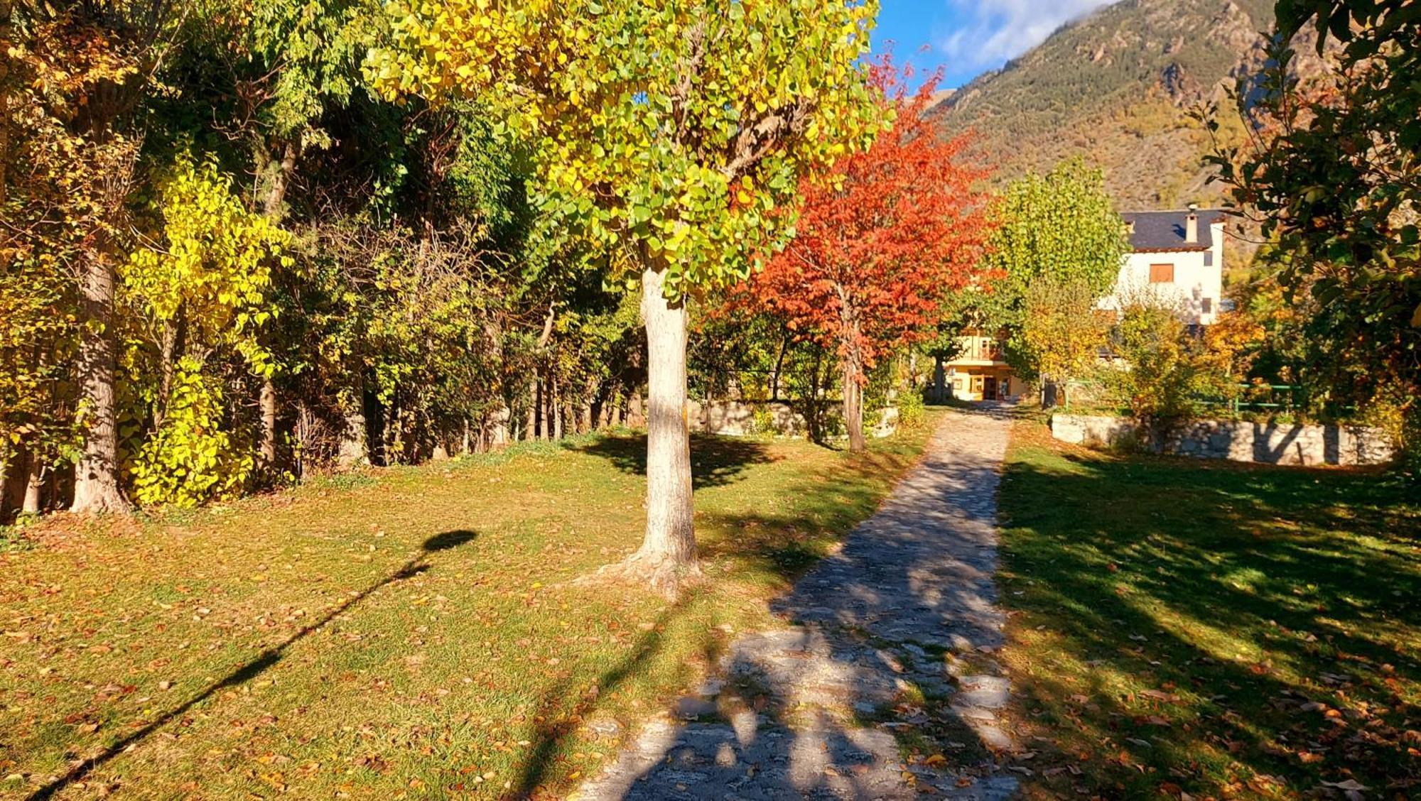 Camping Solau Эспот Экстерьер фото